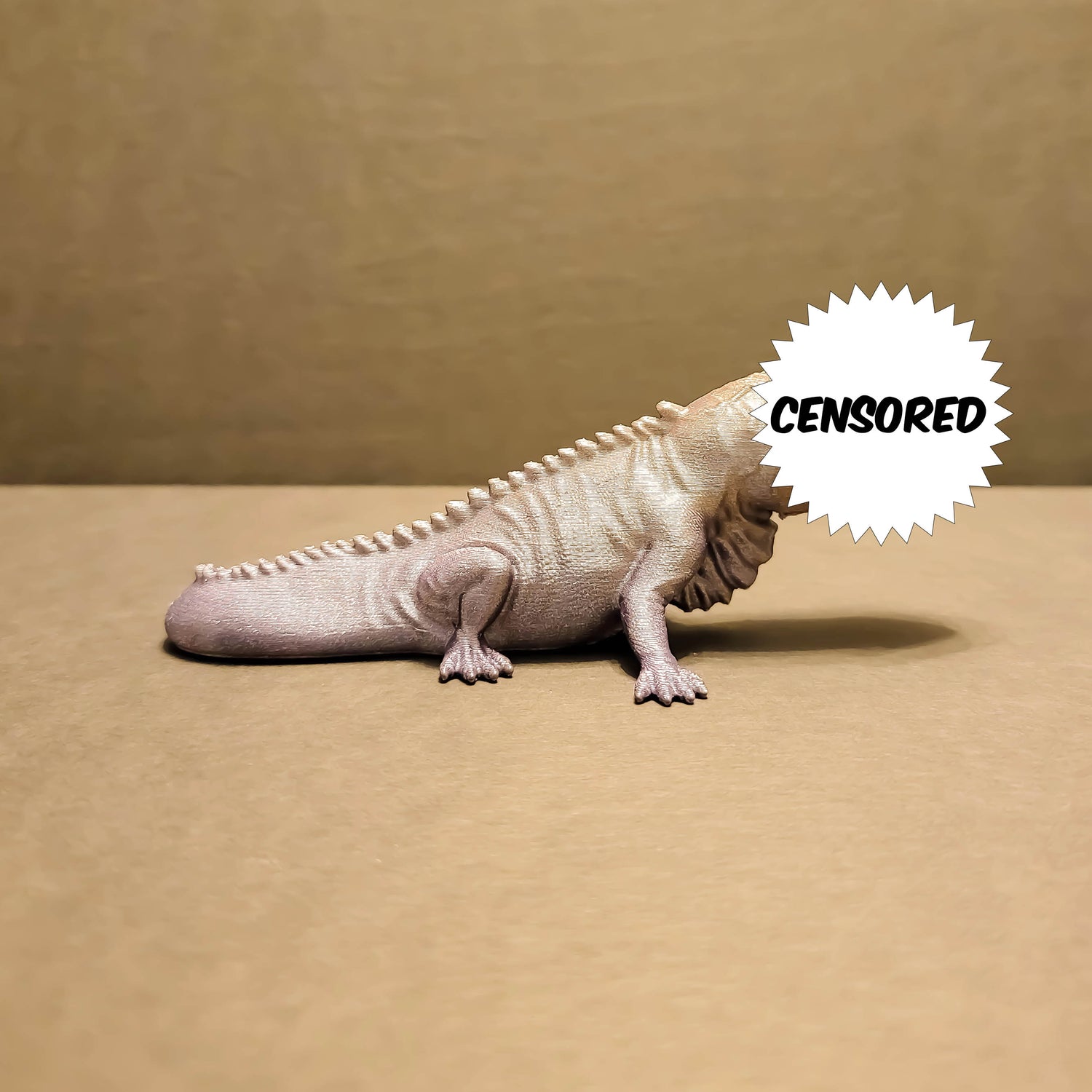 Reptile & Amphibians